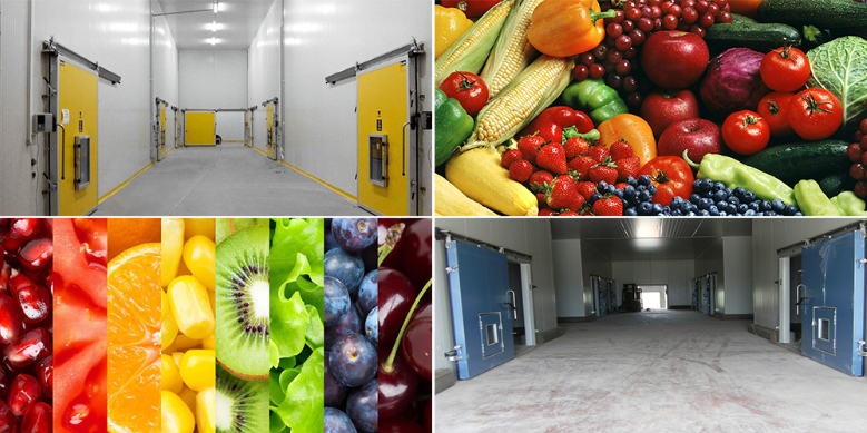 氣調保鮮庫 大中型果蔬冷藏庫安裝 冷庫定制安裝 氣調保鮮庫 大中型果蔬冷藏庫安裝 冷庫定制安裝