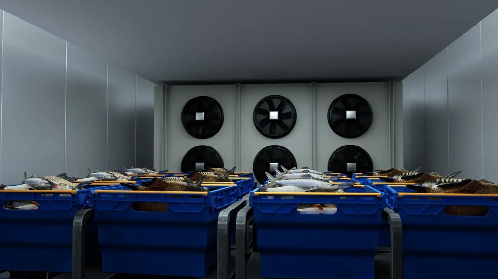 海鮮冷庫建設用以保鮮冷藏海產品 海鮮冷庫建設用以保鮮冷藏海產品