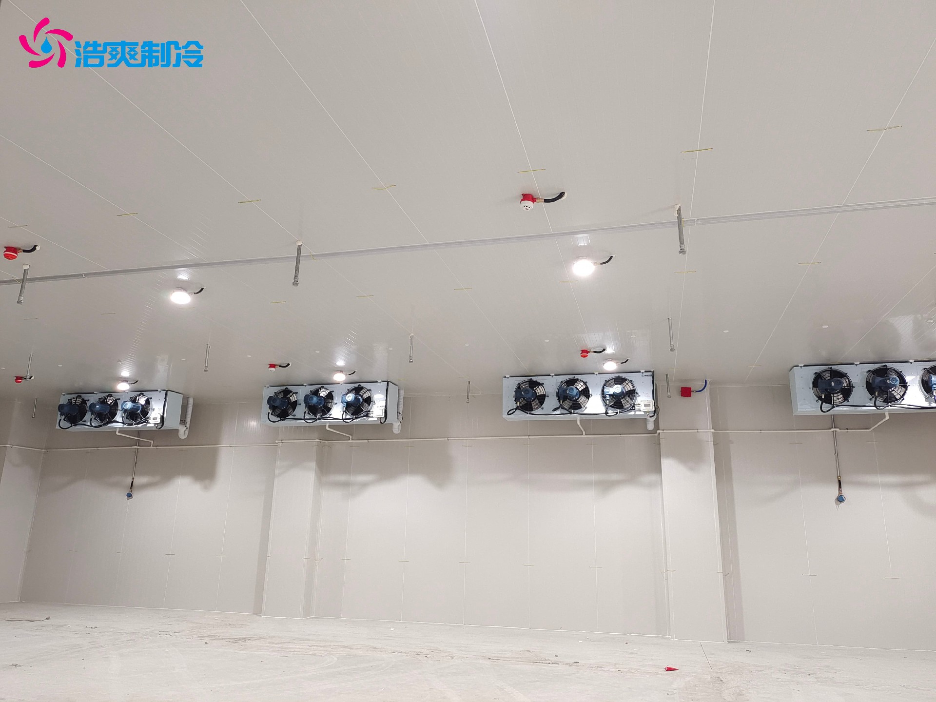 定制IICT4電子化工防爆冷庫安裝設計建造施工方案 定制IICT4電子化工防爆冷庫安裝設計建造施工方案