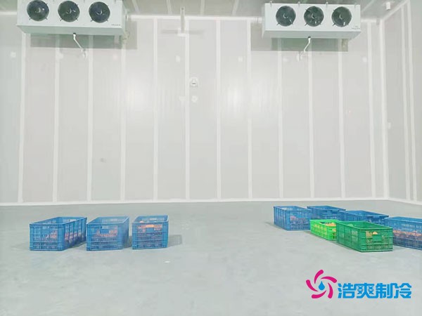 200噸蔬菜保鮮冷庫造價多少錢？需要多大面積？