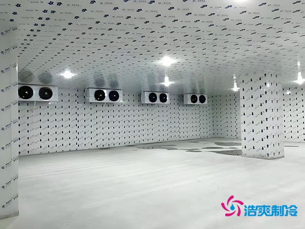 建造200噸冷凍肉低溫冷庫的造價詳解