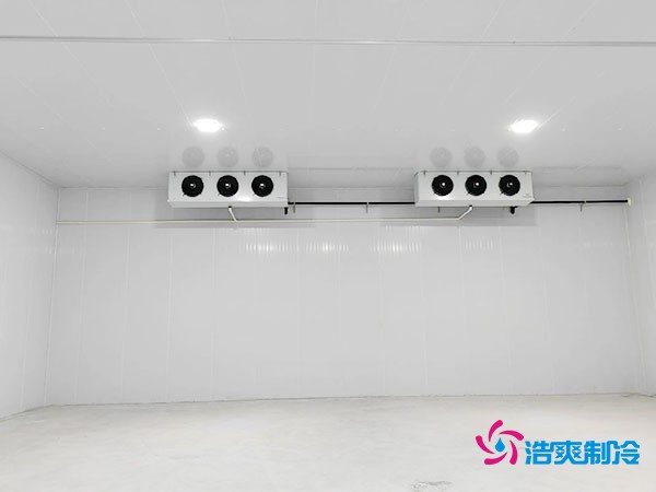 大約需要多少資金才能安裝一座小型移動式冷庫？