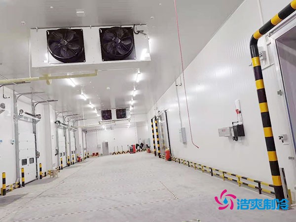 冷庫(kù)造價(jià)懸殊？揭秘每平米價(jià)格背后的秘密！