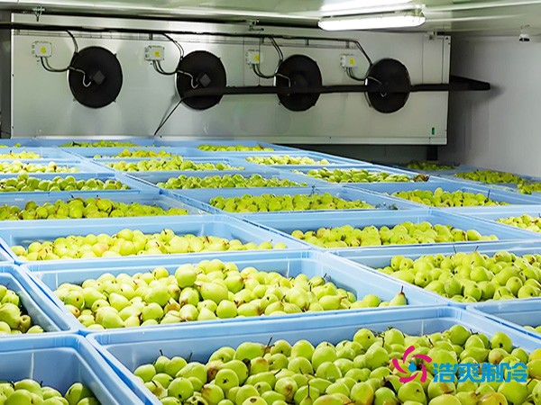 氣調(diào)保鮮冷庫造價