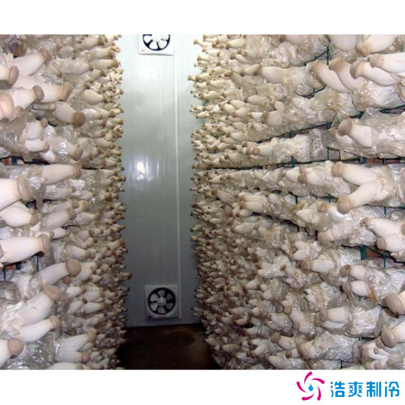 蘑菇冷庫(kù)建造成本多少錢,蘑菇冷藏方法哪些