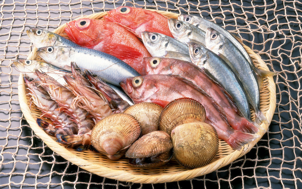 冰鮮海鮮冷庫造價,5000平方米冷凍庫總投資多少