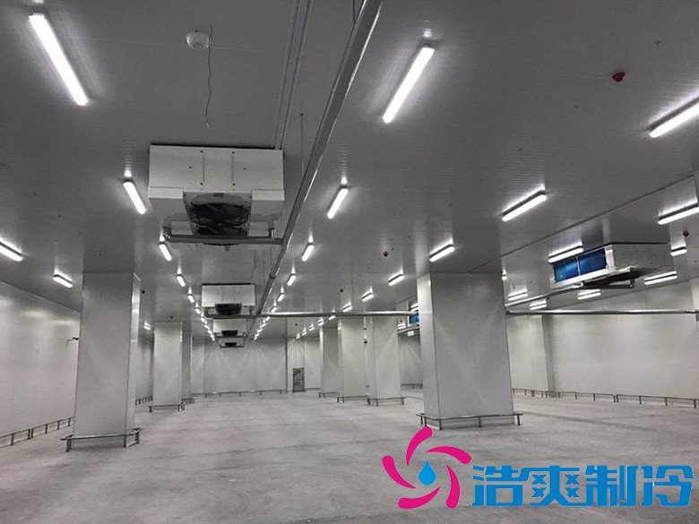 港口冷鏈冷庫市場趨勢和現狀，萬噸港口冷鏈低溫倉儲造價預算