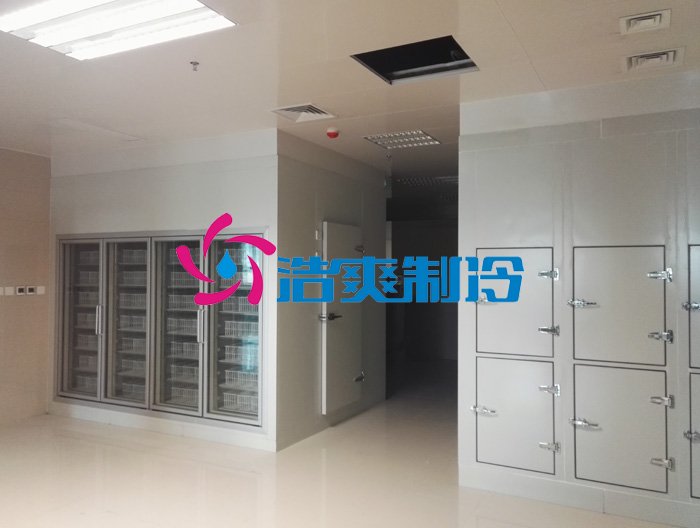浩爽制冷,后補式疫苗冷庫